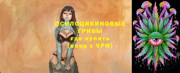 хмурый Зеленокумск