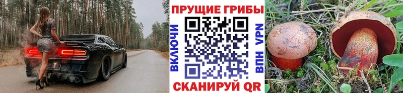 блэк спрут ТОР  Салават  Галлюциногенные грибы мицелий 